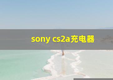 sony cs2a充电器